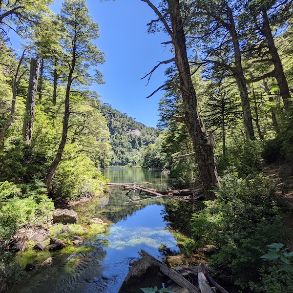 Parque Nacional Huerquehue